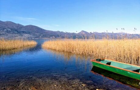 Bootsfahrt am Skutari See